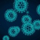 Coronavirus - informatie